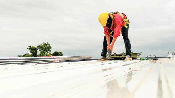 Best Solar Panel Roofing Installation  in Southmont, NC
